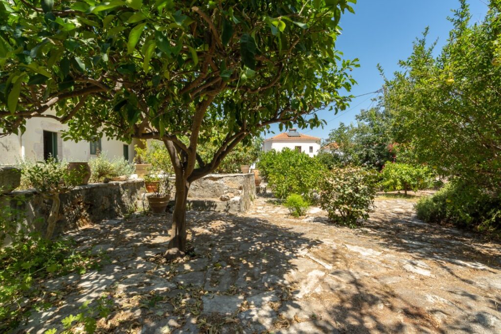 THREE PROPERTIES IN ONE IN PLAKA