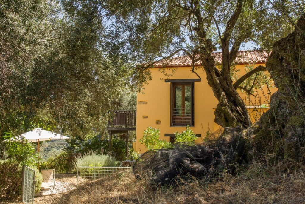 A RENOVATED VILLAGE HOUSE IN LAKOI