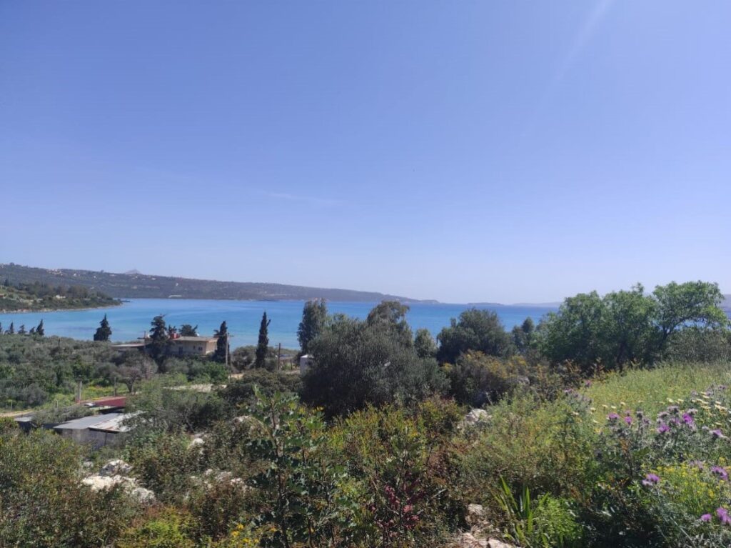 PANORAMIC VIEW PLOT IN VLITES