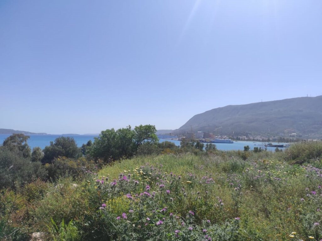 PANORAMIC VIEW PLOT IN VLITES