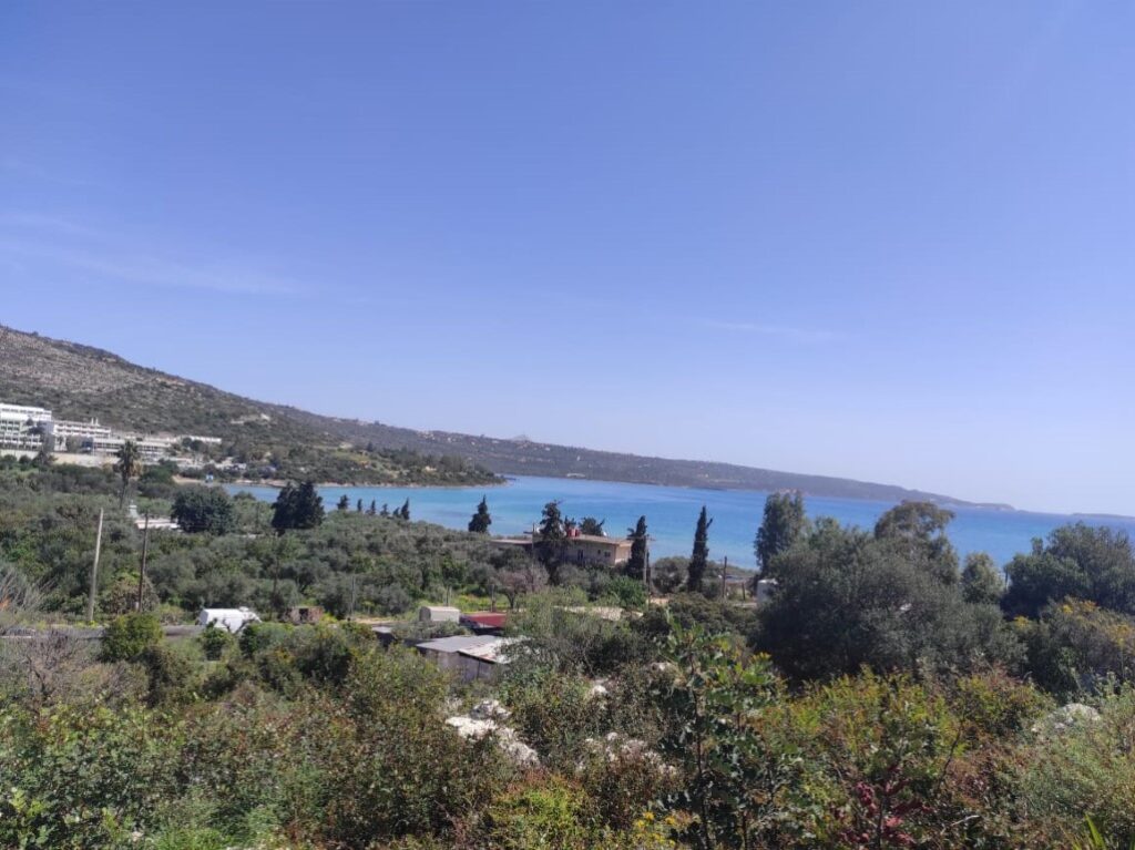 PANORAMIC VIEW PLOT IN VLITES