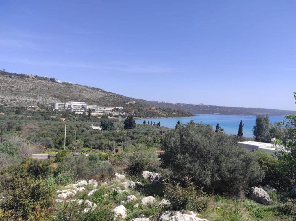 PANORAMIC VIEW PLOT IN VLITES