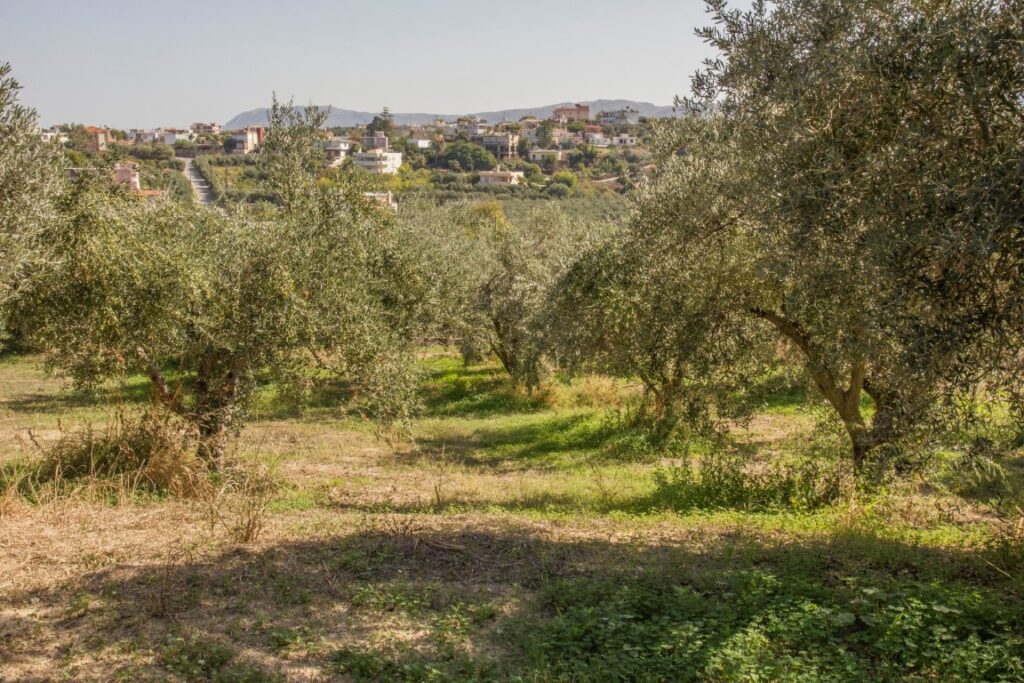 A SPACIOUS VILLA IN GALATAS