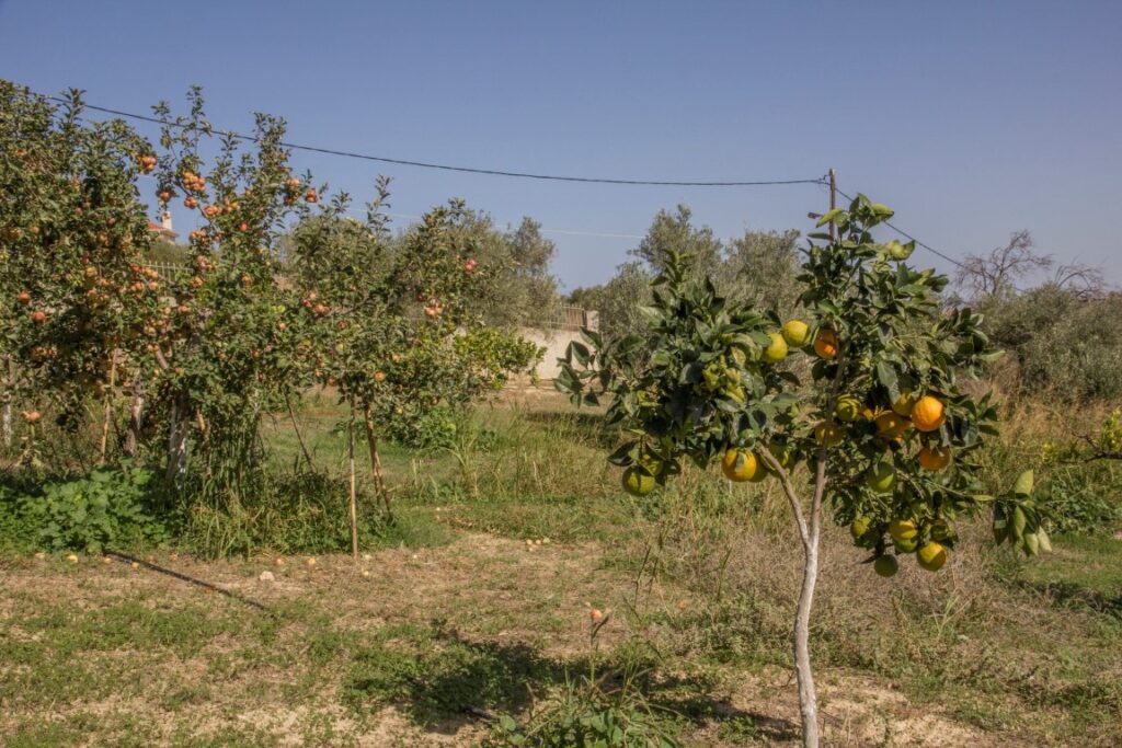 A SPACIOUS VILLA IN GALATAS