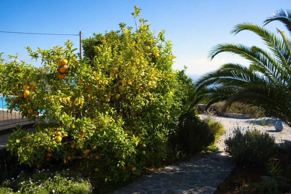 A Charming Villa With Everblue Views In Kefalas