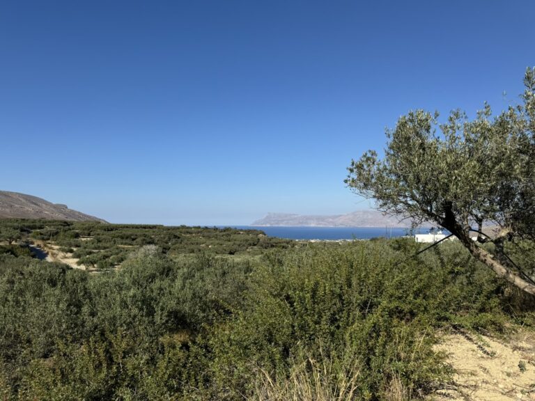 AN INVESTMENT PLOT WITH A SEA VIEW IN KAREFILIANA