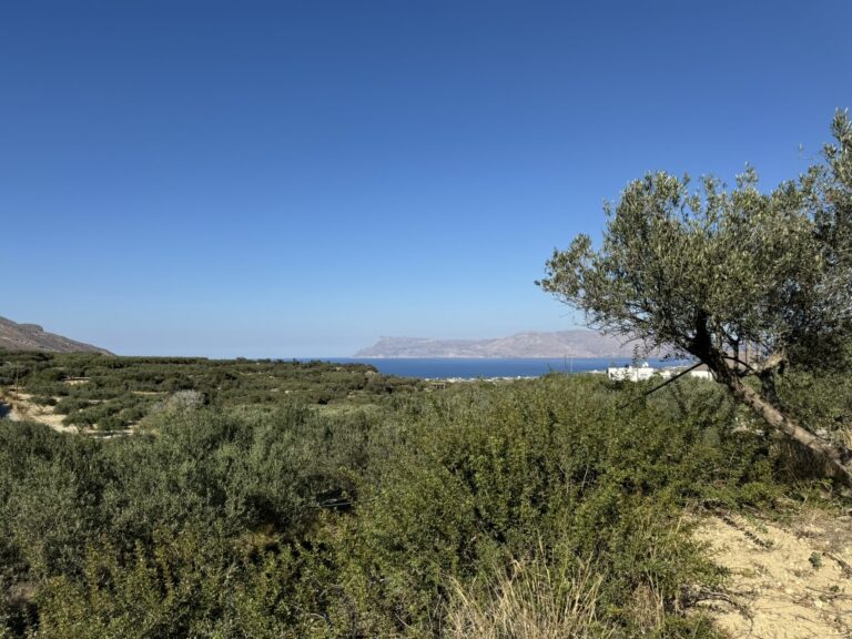 AN INVESTMENT PLOT WITH A SEA VIEW IN KAREFILIANA