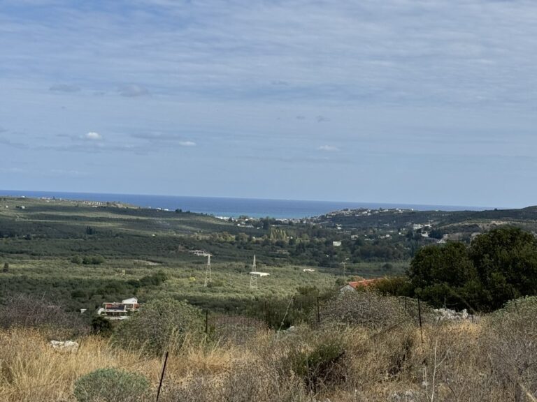 TOP-TIER INVESTMENT PLOT INSIDE THE SETTLEMENT OF NEO CHORIO