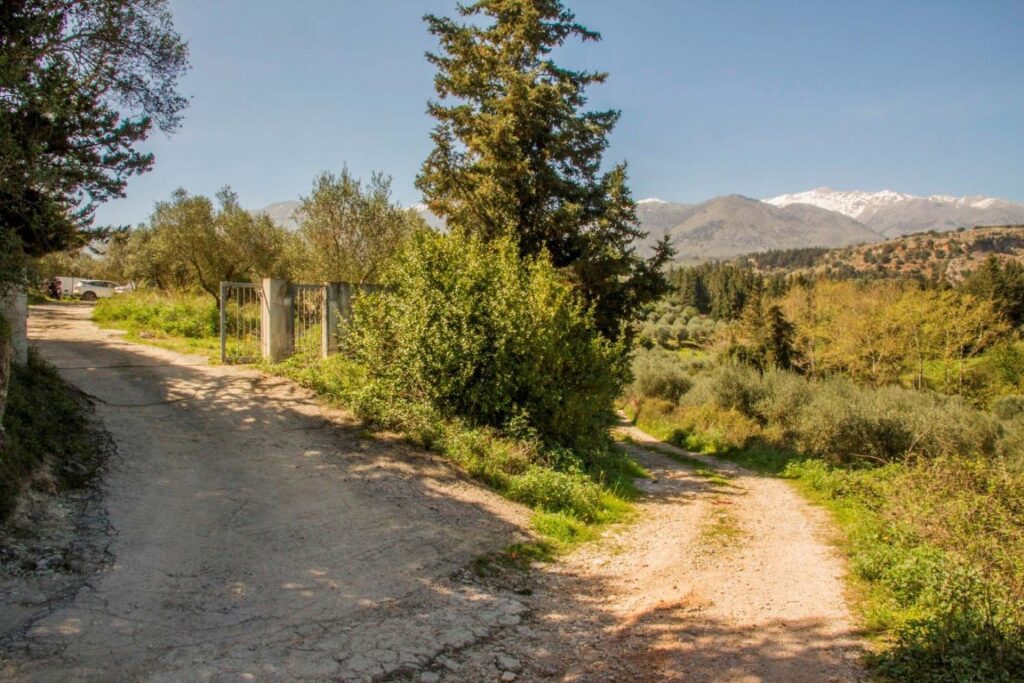 TWO COZY STONE VILLAS IN A GREEN EDEN IN PEMONIA AT A VERY FAIR PRICE